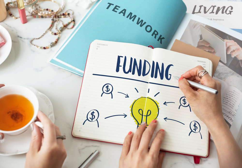 Why Investors Hesitate to Fund OPCs in India and How to Get Around It